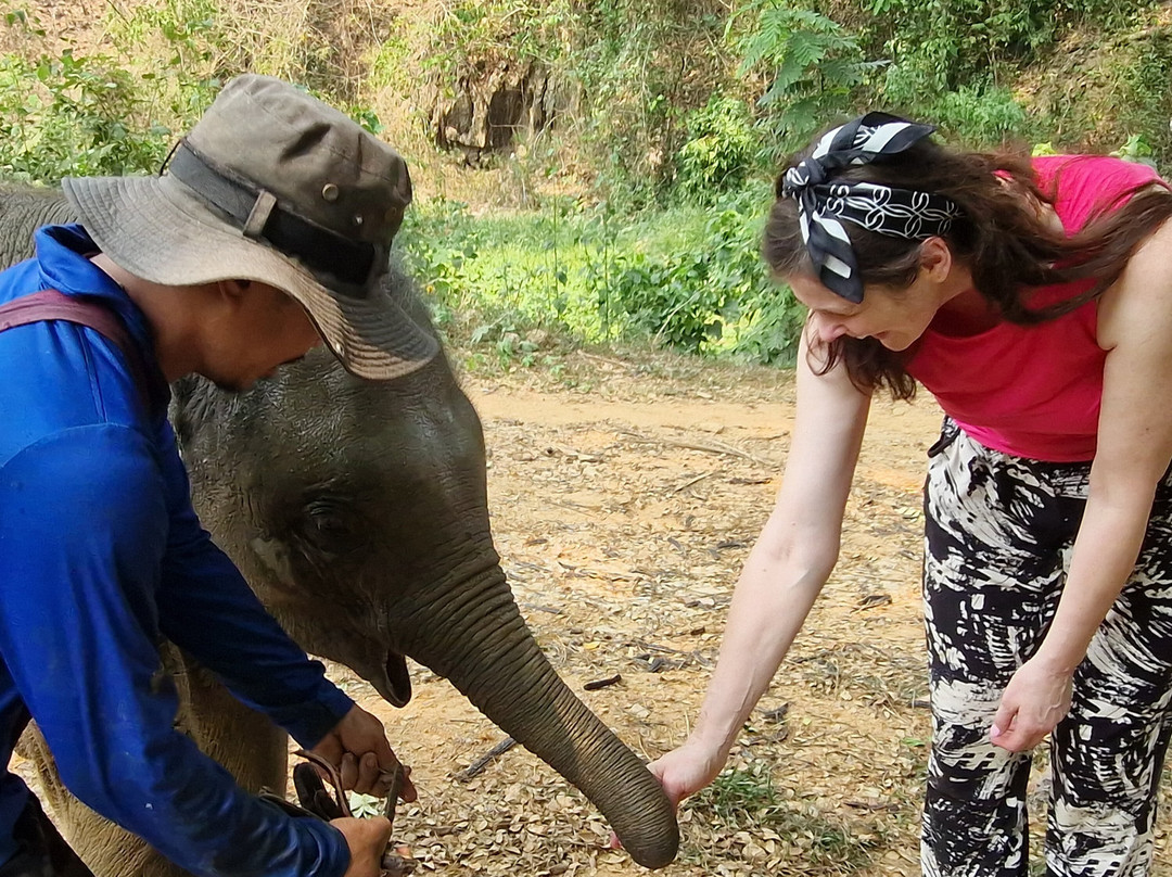 Boon Lott's Elephant Sanctuary-素可泰必去景点