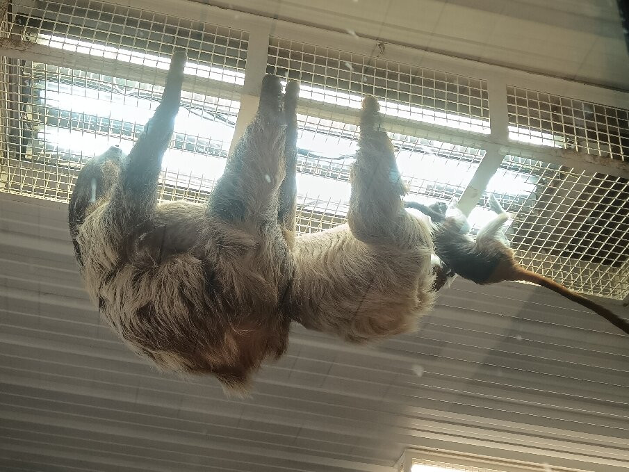 Parc Animalier d'Auvergne-Ardes必去景点