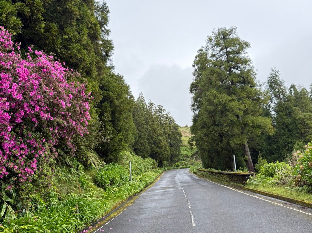 Caldeira das Sete Cidades-圣米格尔岛必去景点