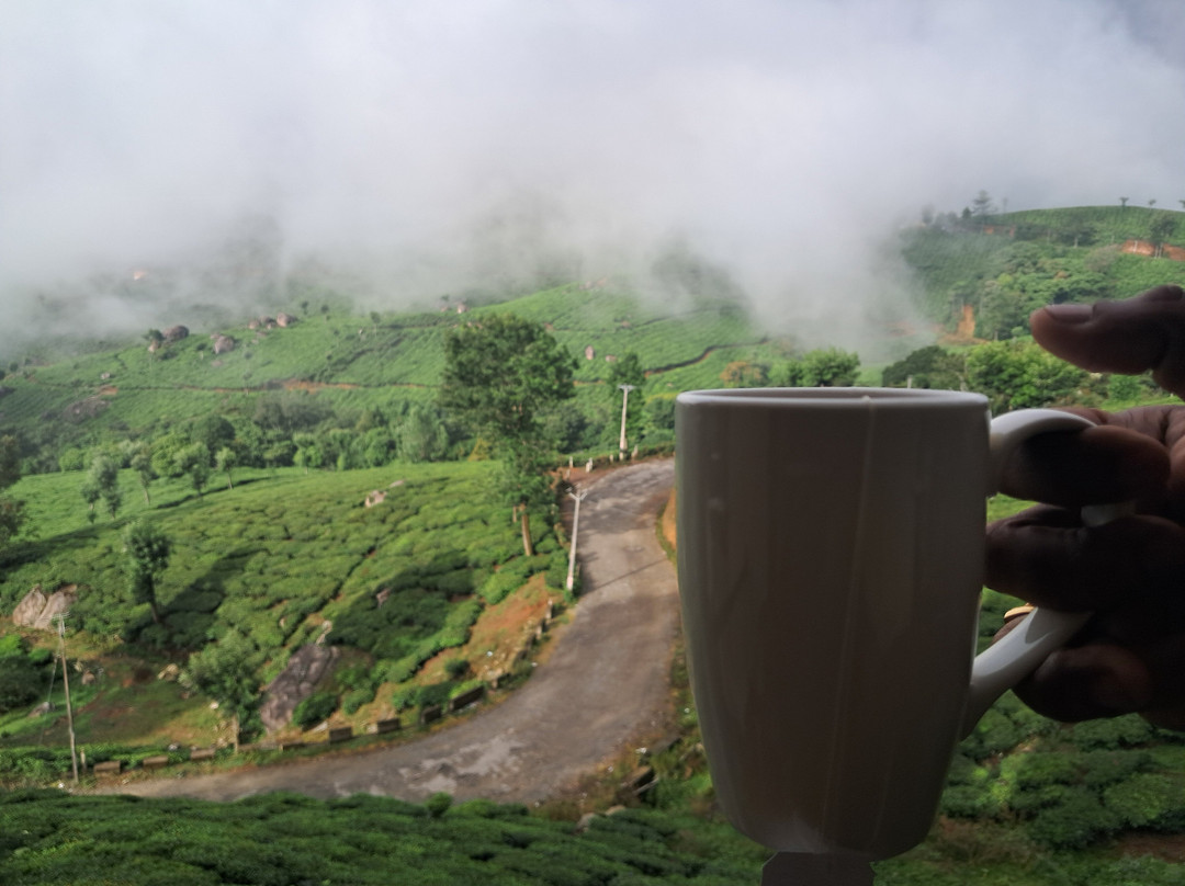 Club Mahindra Mount Serene, Munnar Resort主图