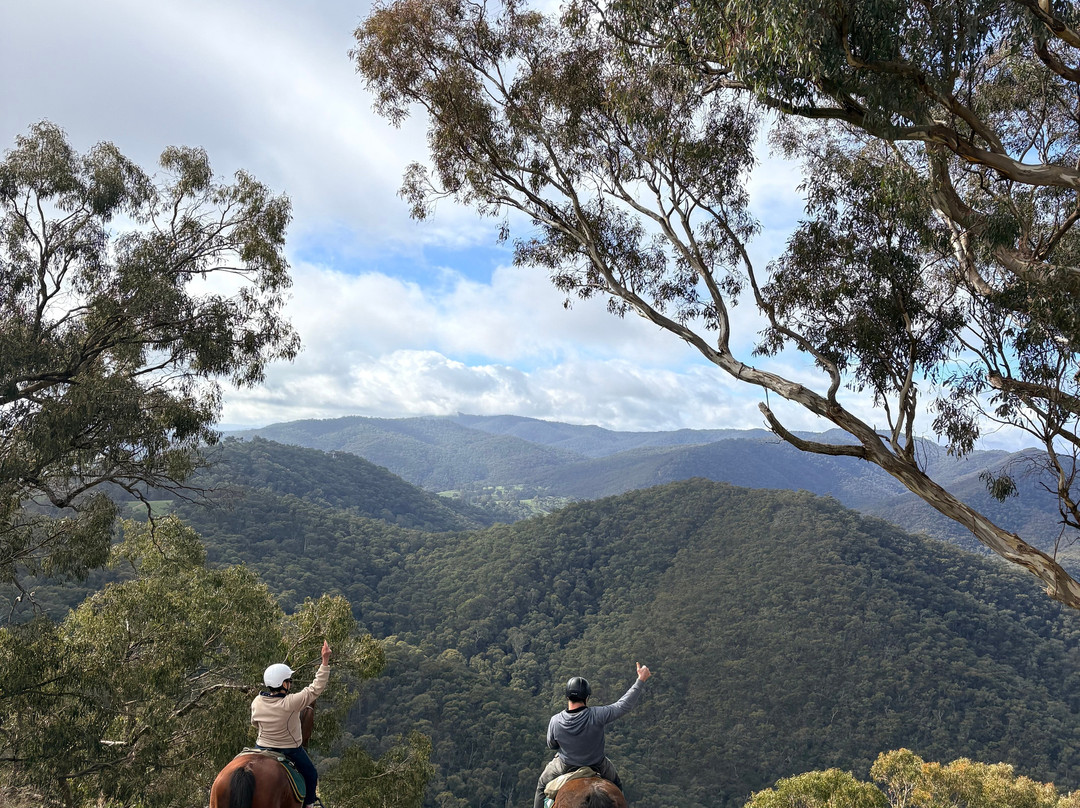 Watson's Mountain Country Trail Rides - Day Tours-曼斯菲尔德必去景点