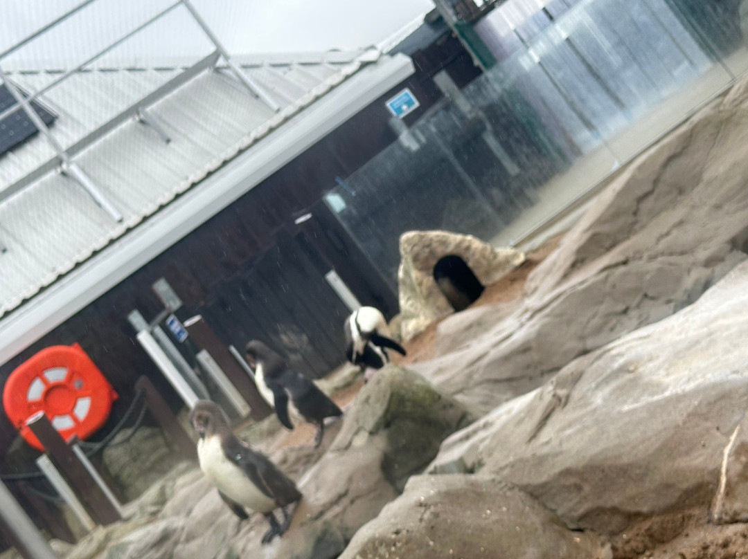 Sea Life Scarborough-斯卡伯勒必去景点
