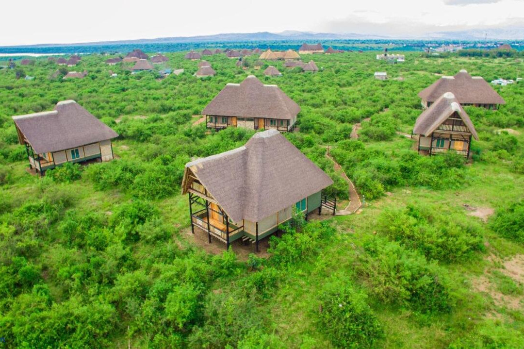 Egret safari lodge