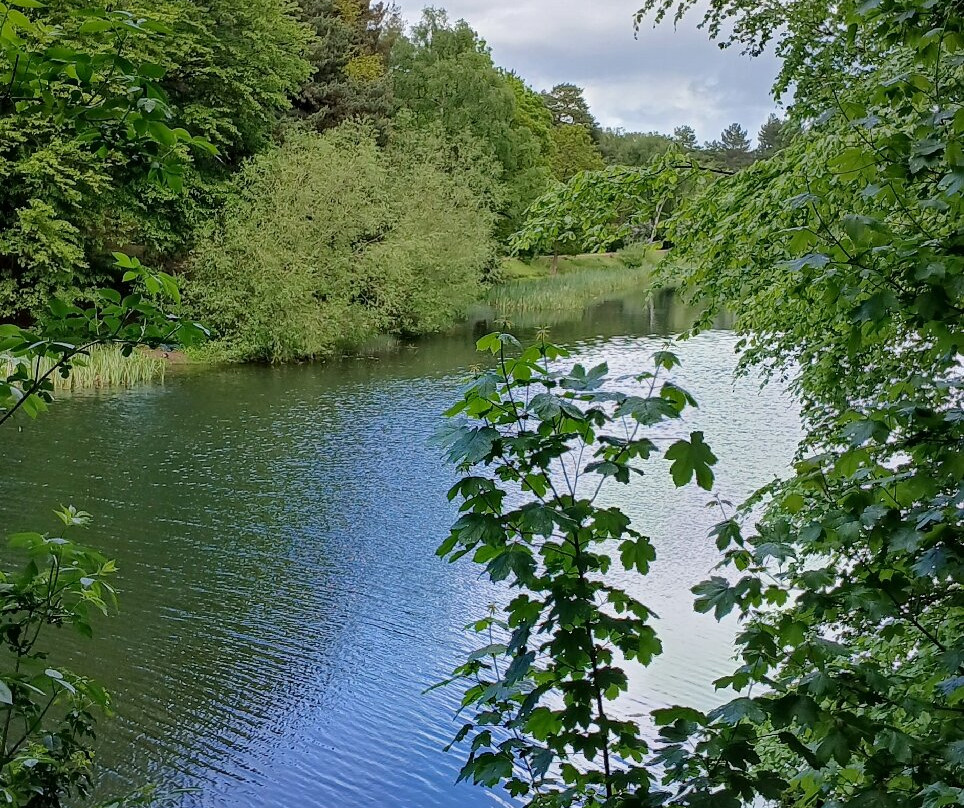 Nostell Priory and Parkland-韦克菲尔德必去景点