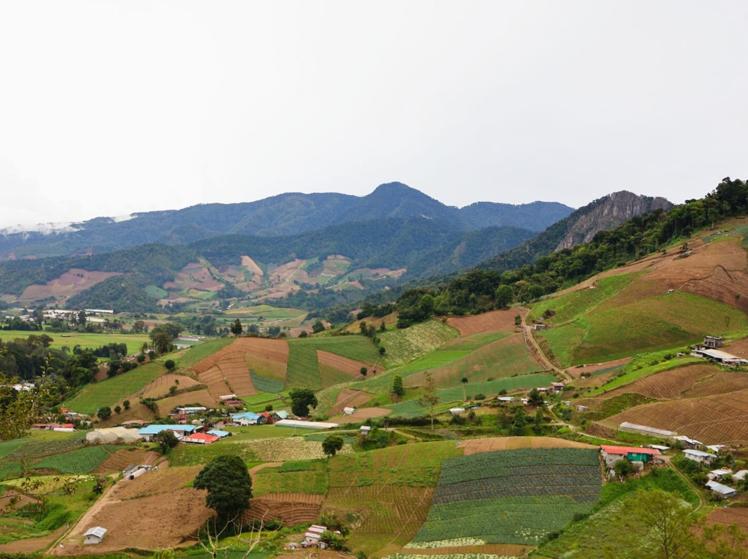Finca Dracula-Cerro Punta必去景点