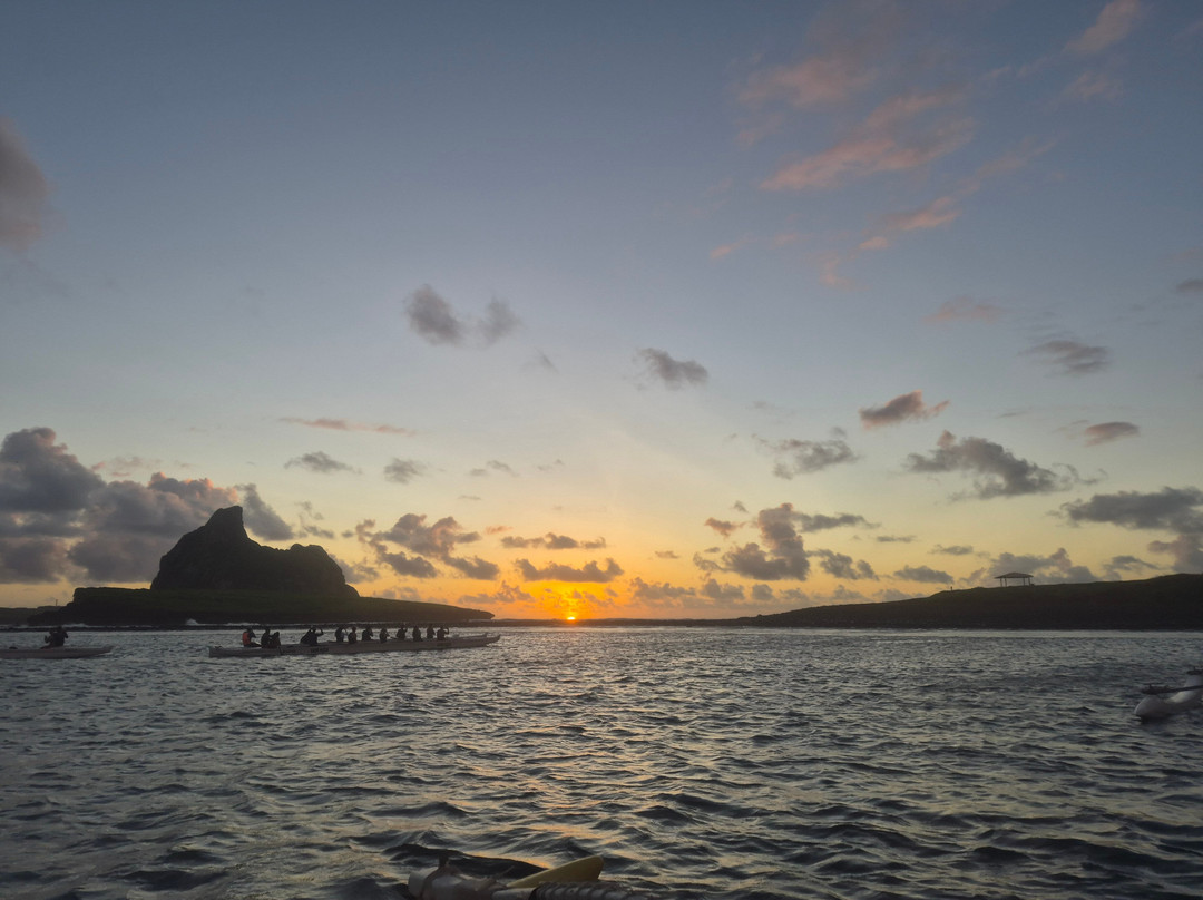 Noronha Surf Hoe