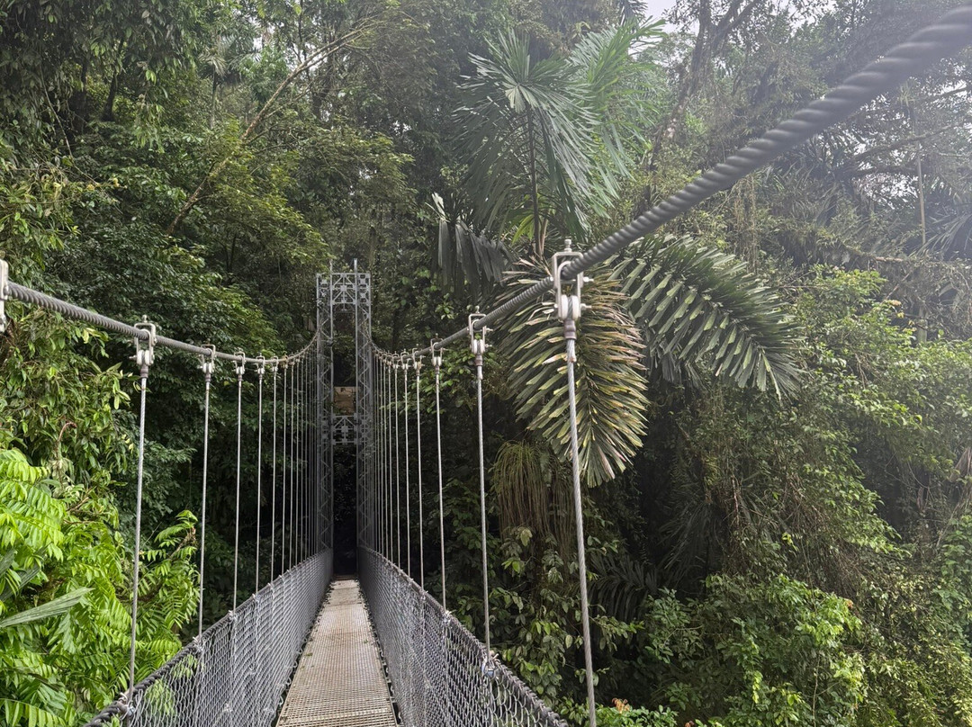 Costa Rica Driver - Tours-圣何塞必去景点