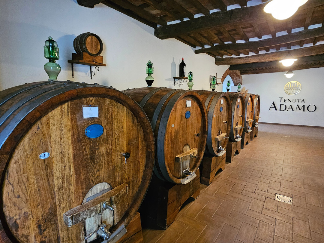 Tenuta Adamo Winery