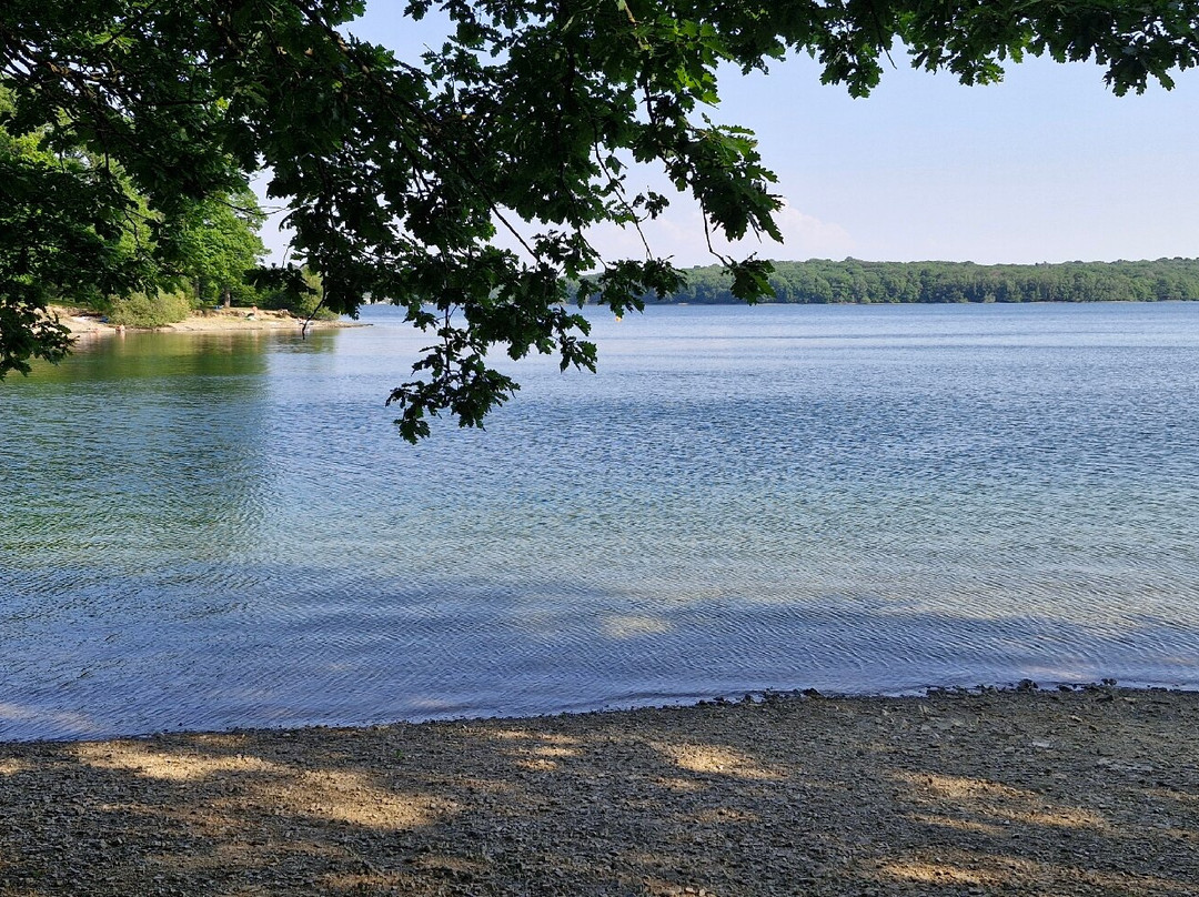 Les Lacs De L'Eau D'Heure-Froidchapelle必去景点