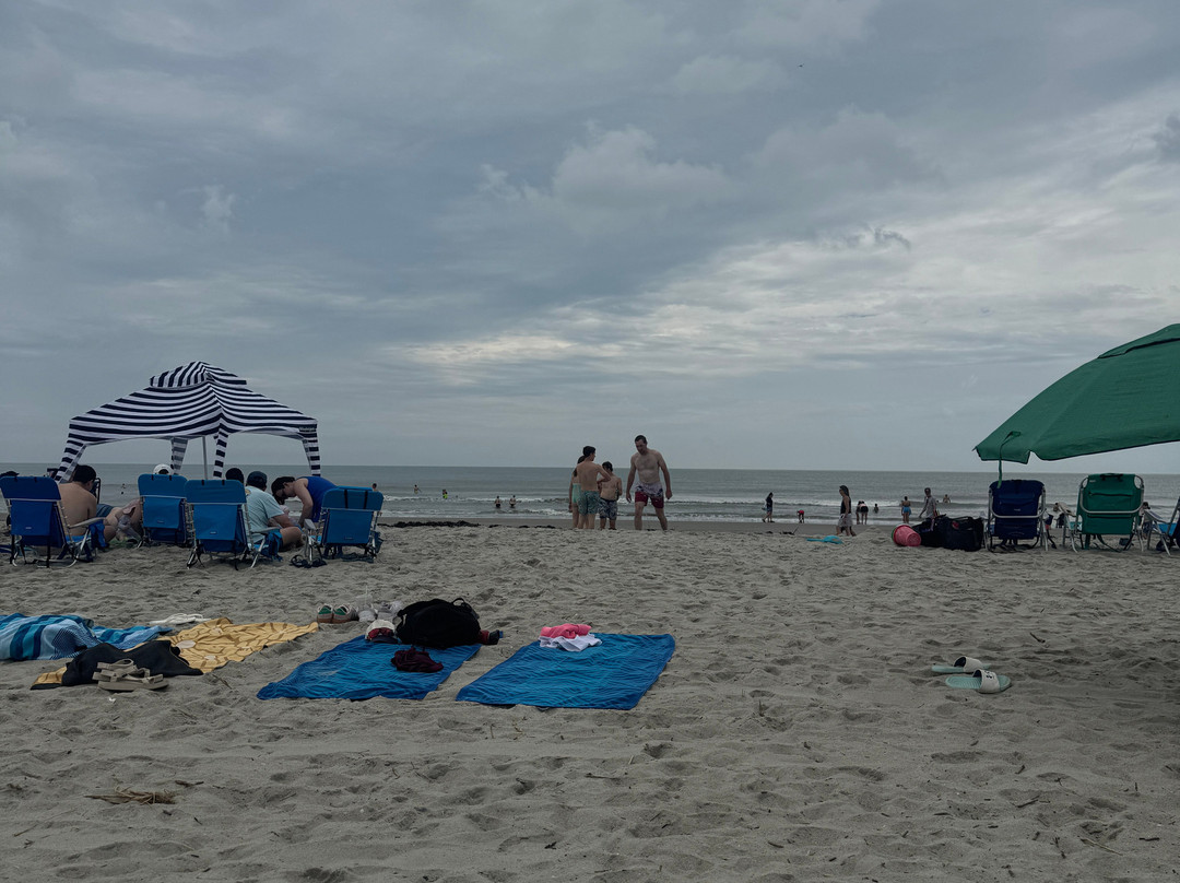 Isle of Palms Beach Chair Company-棕榈岛必去景点