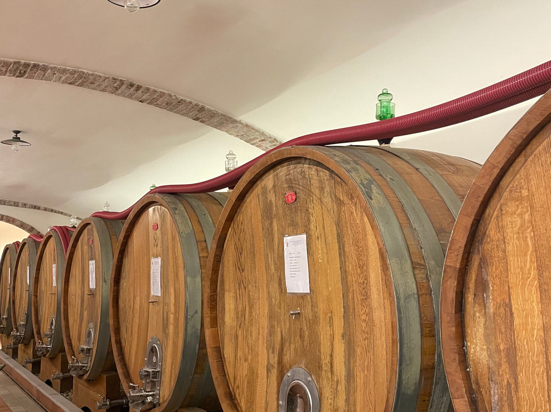 Azienda Agricola Cascina Pugnane S.S. dei F.lli Ghisolfi-Castiglione Falletto必去景点