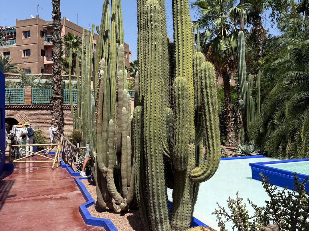 I-Tours Morocco-丹吉尔必去景点