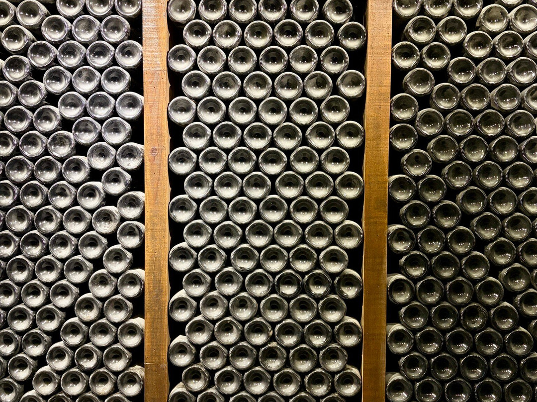 Quinta do Seixo - Sandeman-Tabuaco必去景点