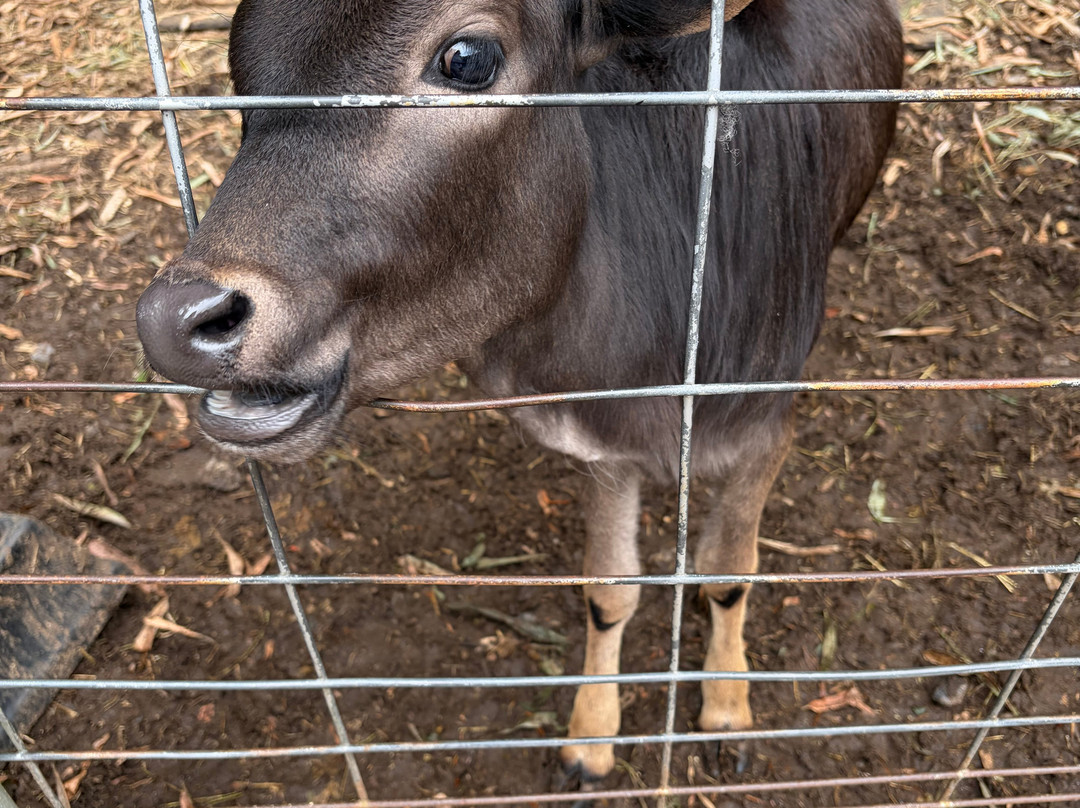 North Georgia Wildlife Park-Cleveland必去景点