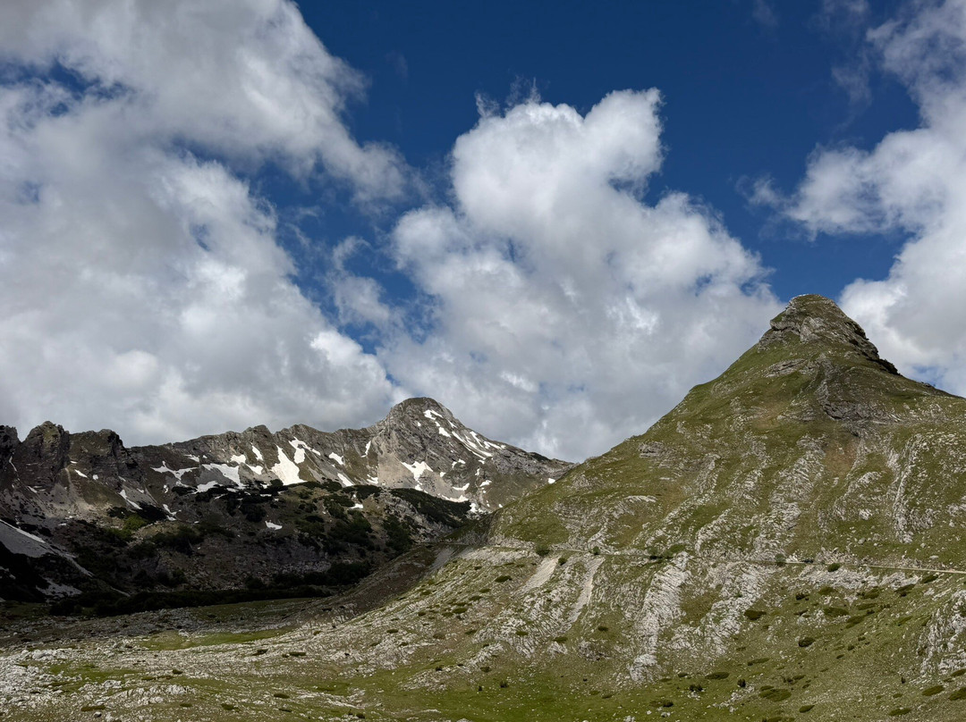 Dumitor Ring