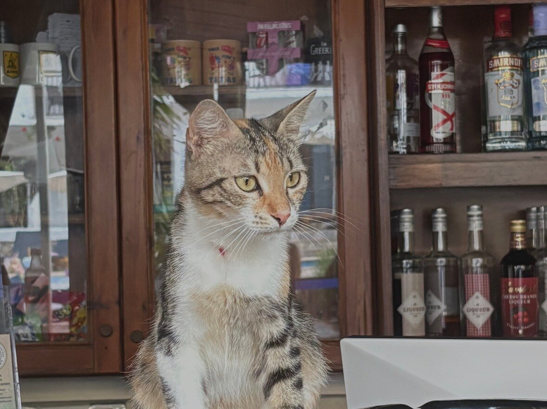 Amalia Apartments主图