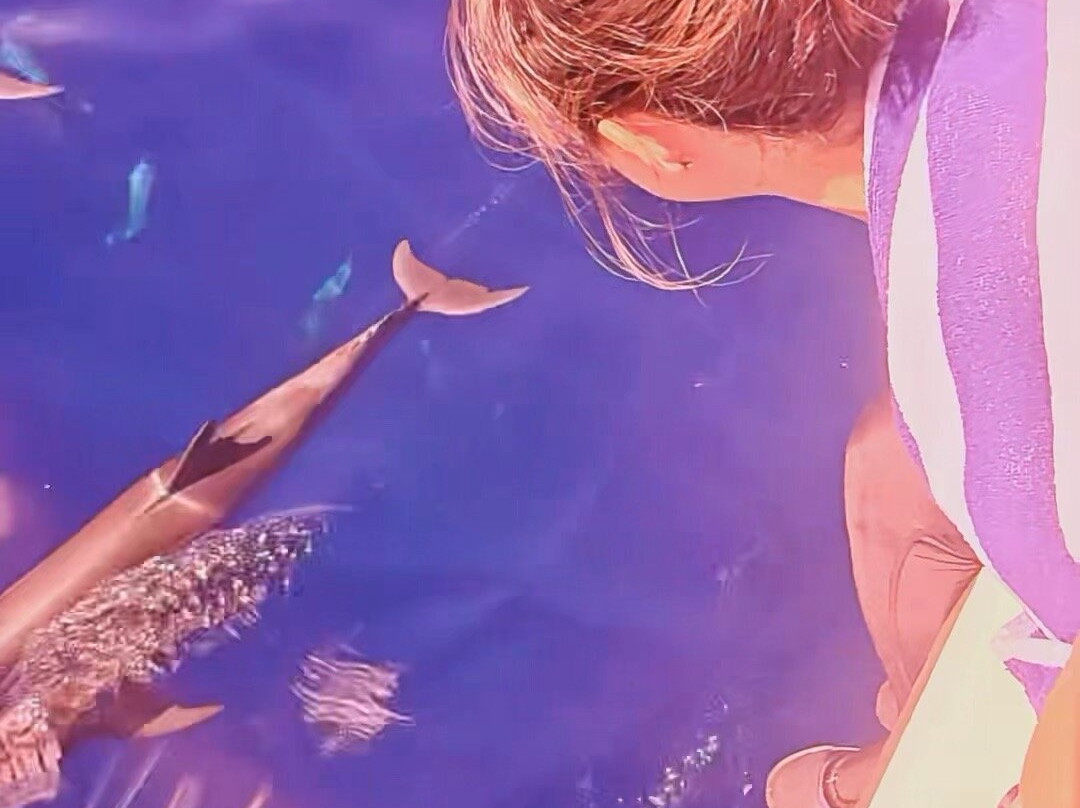 Addu Scuba Club-Hithadhoo Island必去景点