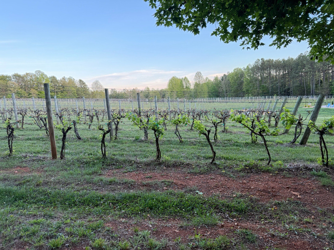 Hardware Hills Vineyard-Scottsville必去景点