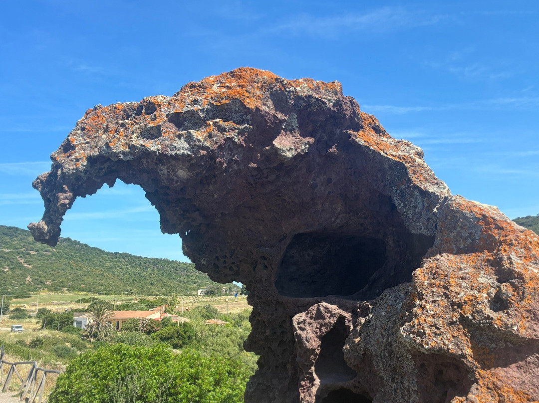Roccia dell'Elefante-Castelsardo必去景点