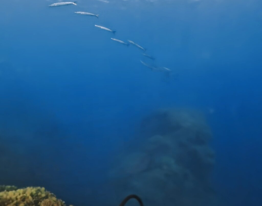 Lustrica diving-Ustica必去景点