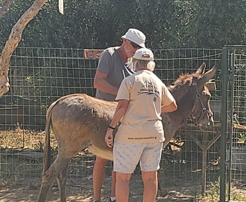 Agia Marina Donkey Rescue Sanctuary-Petrokefali必去景点