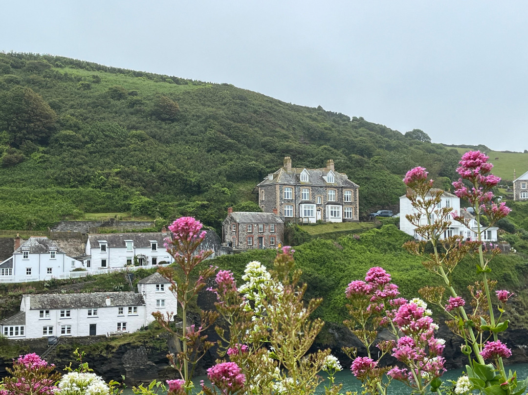 Harbour, Port Isaac-Port Isaac必去景点