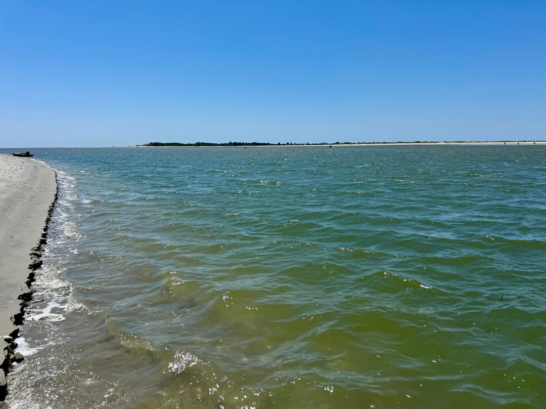 Charleston Fossil Adventures-查尔斯顿必去景点