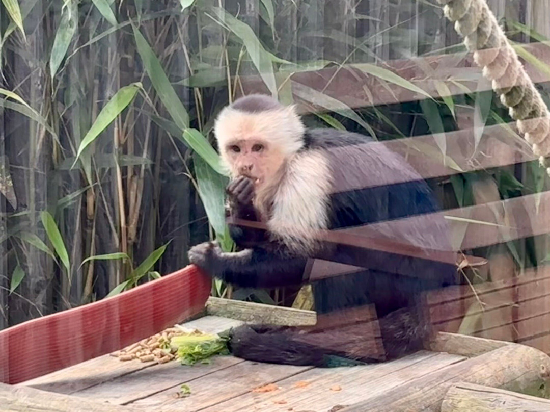 Wingham Wildlife Park-Wingham必去景点