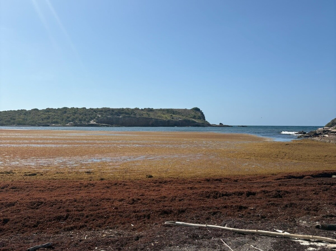 Playa Sucia-Cabo Rojo必去景点