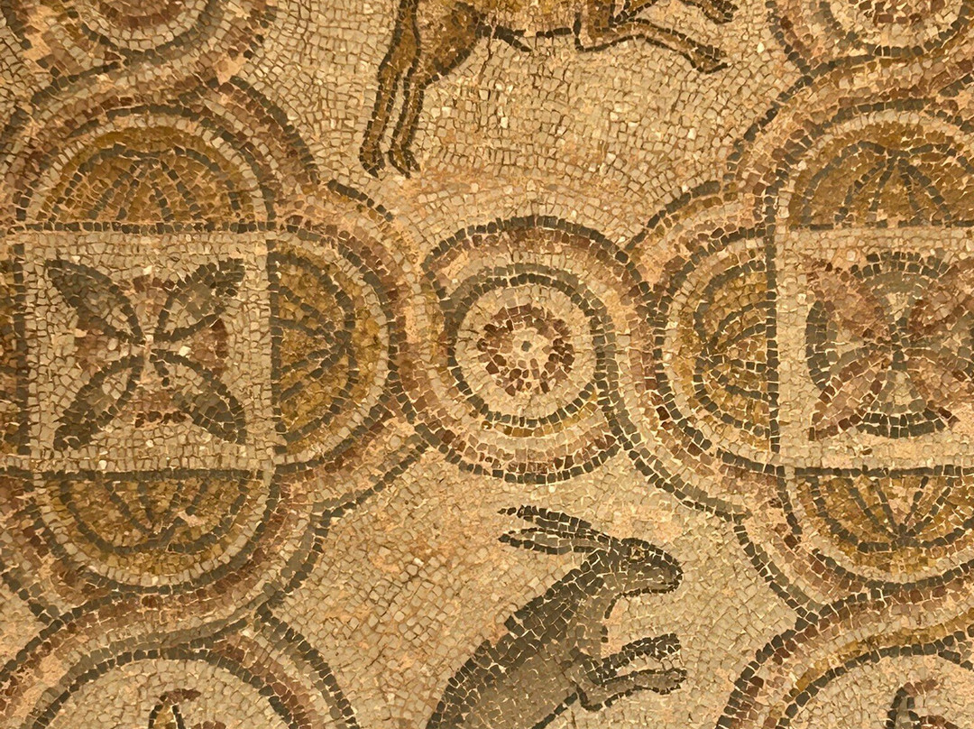 Amfissa Archaeological Museum-Amfissa必去景点