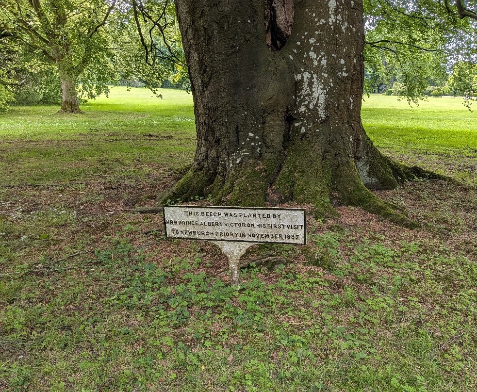 Newburgh Priory-Coxwold必去景点