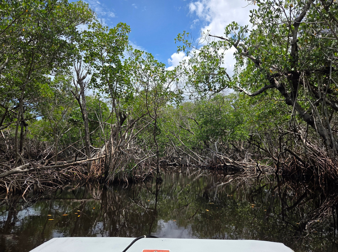 Captain Jack's Airboat Tours-大沼泽地必去景点