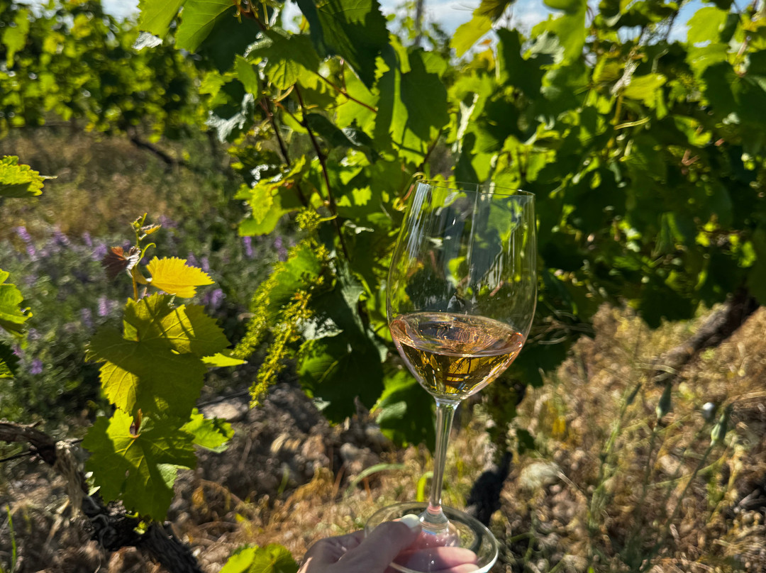 Voskeni Wines-Araks必去景点
