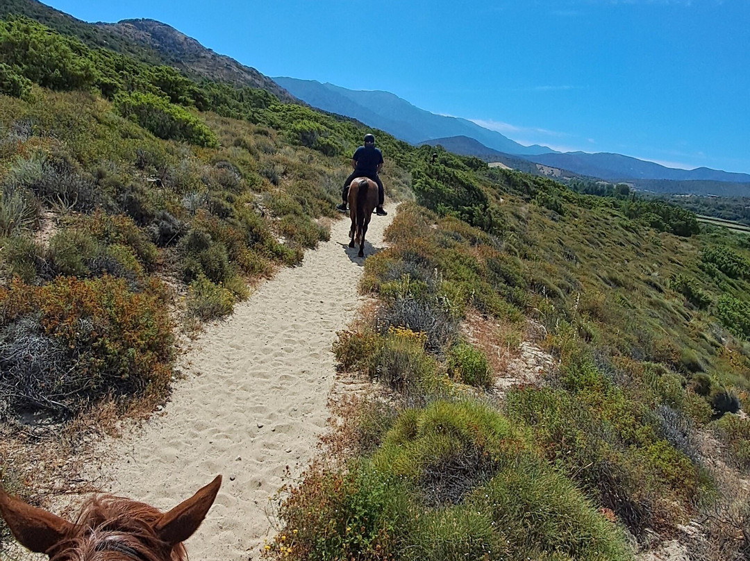 Ranch Arbo Valley-Monticello必去景点