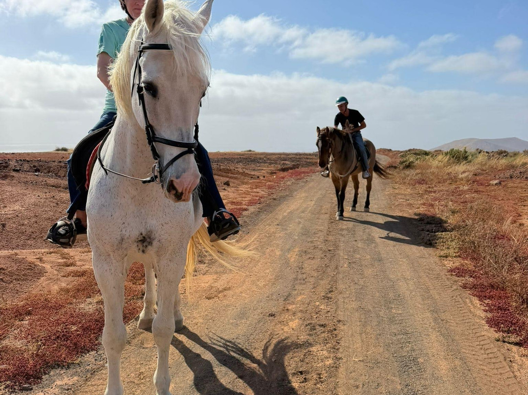 Horses Lanzarote-Teseguite必去景点