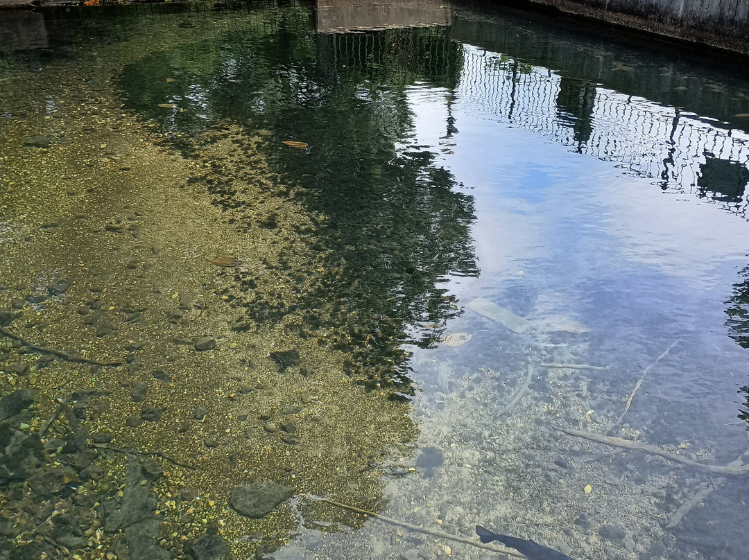 Big Spring Park-Neosho必去景点
