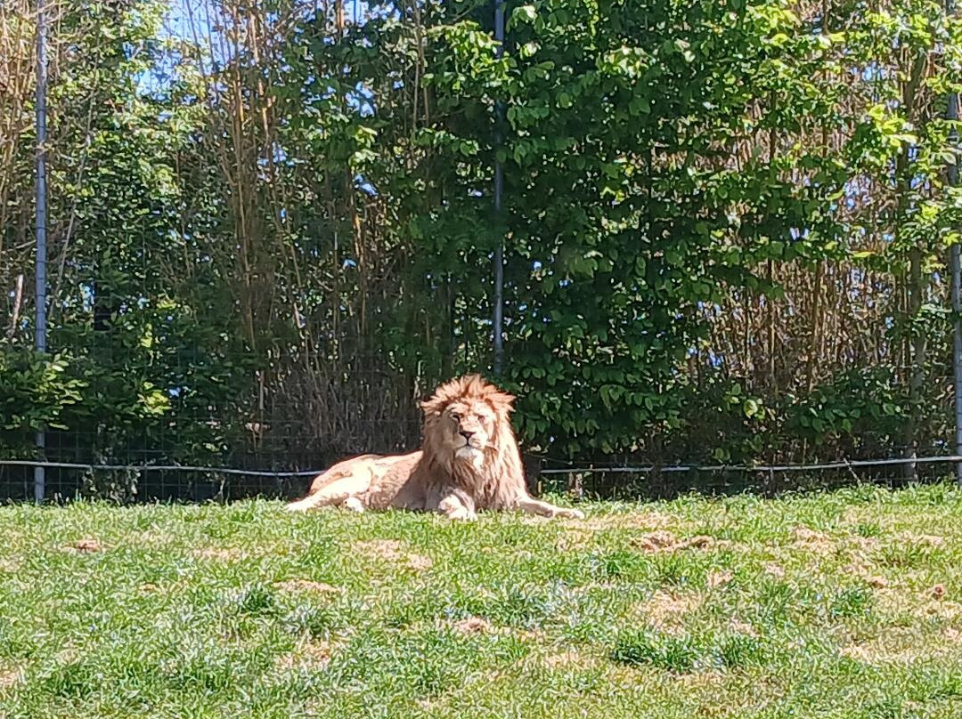 Parc Zoologique Cerza-Hermival-les-Vaux必去景点