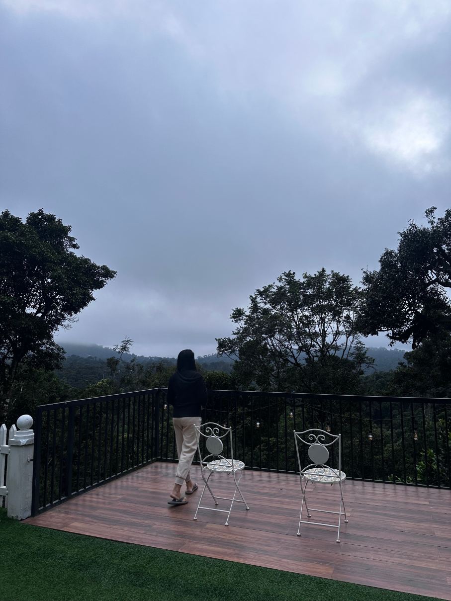 31st December Farms & Estates Munnar-旅行者