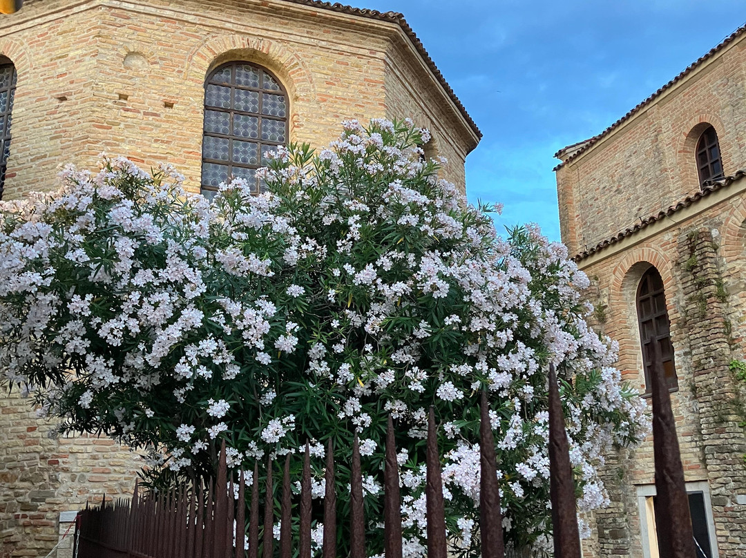 Basilica di Santa Eufemia-格拉多必去景点