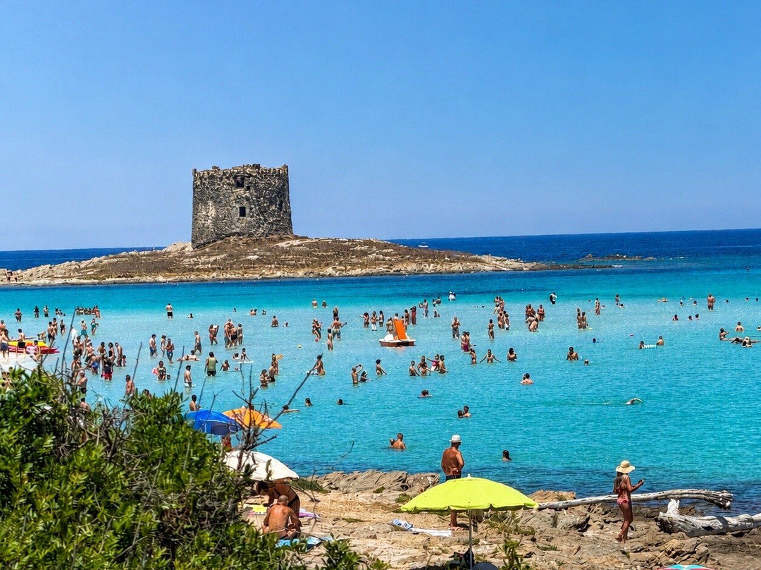La Pelosa Beach-斯廷蒂诺必去景点