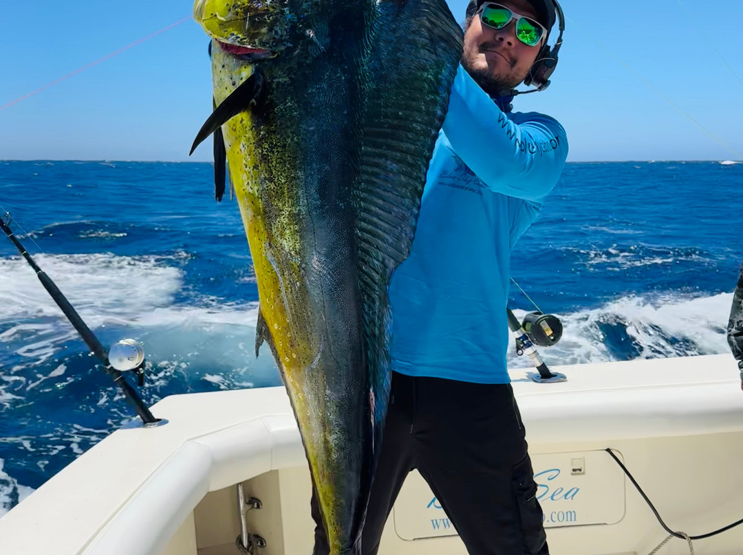 Blue Sky Cabo Fishing and Tours-卡波圣卢卡斯必去景点