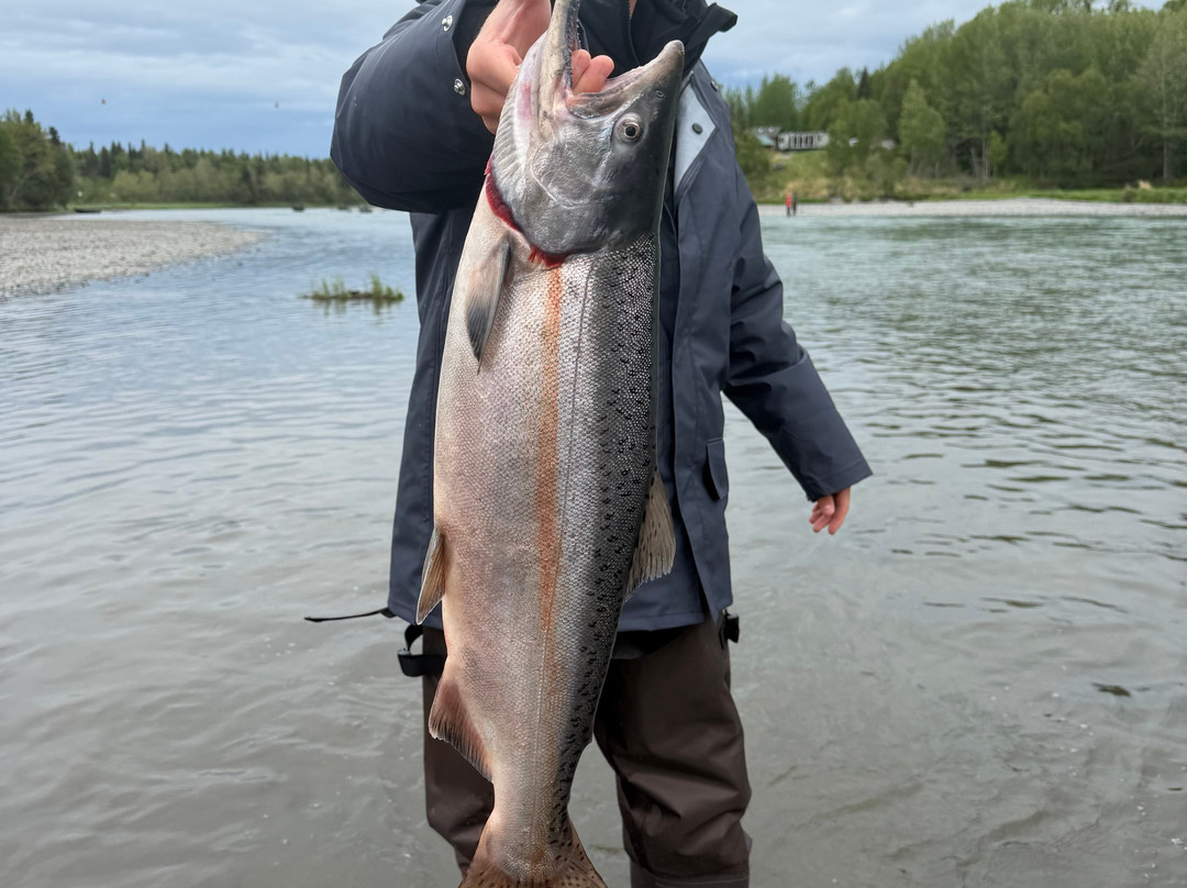 Kenai Kingpin Sportfishing-索尔多特纳必去景点