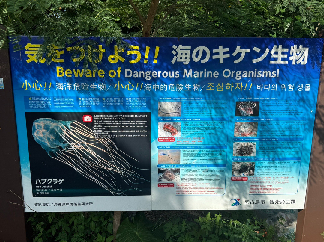 新城海岸-宫古岛市必去景点