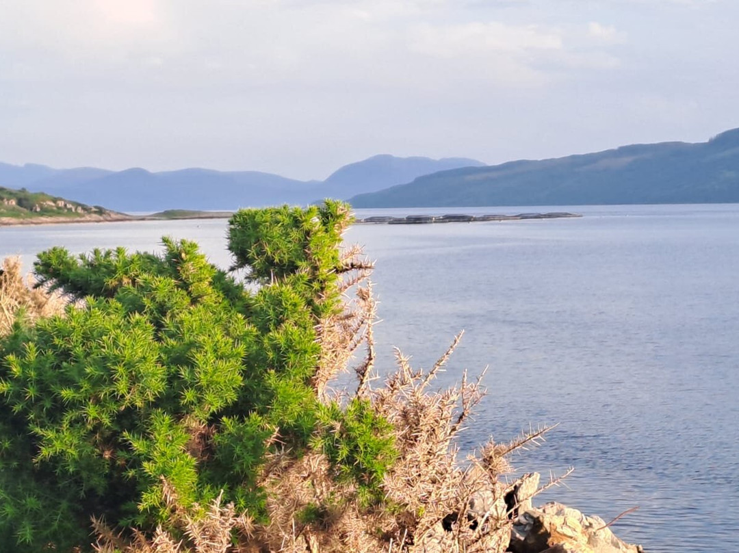 苏格兰波达维地湖菲恩公寓主图