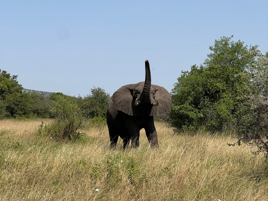 Obama Africa Safari-阿鲁沙必去景点