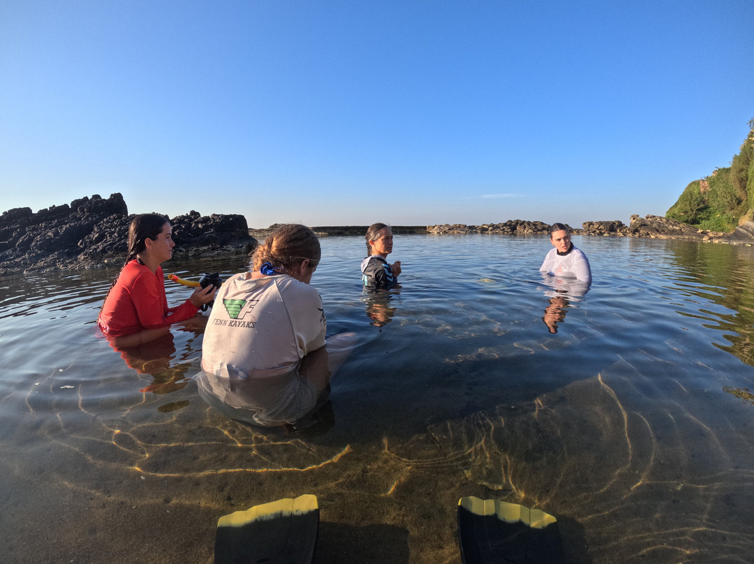 Tidal Tao Snorkeling Safaris-巴利托必去景点