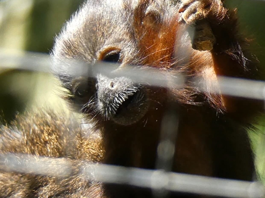 Shaldon Wildlife Trust-Shaldon必去景点