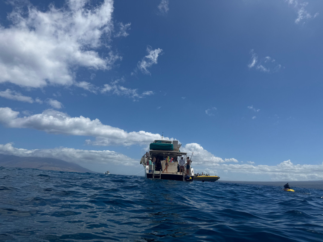 Maui Snorkeling-玛阿拉也亚必去景点