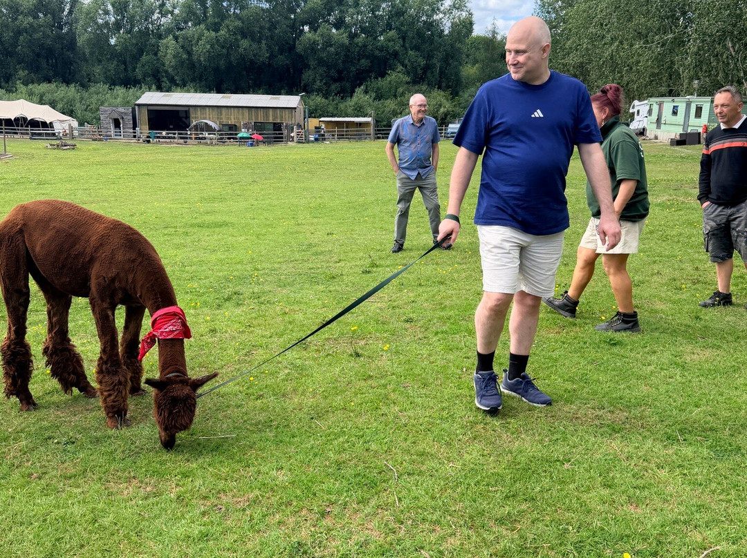 Woodlands Alpaca Farm-沃灵顿必去景点