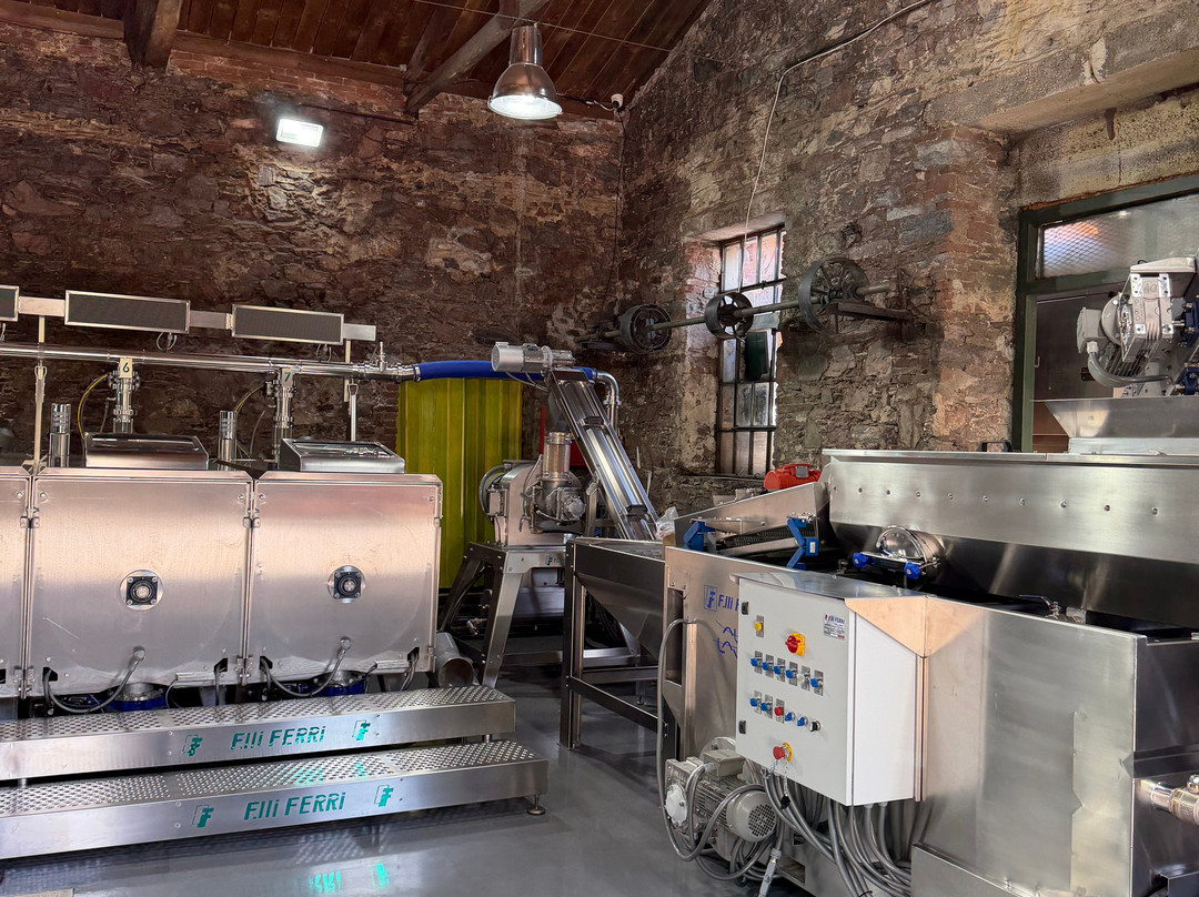 Protoulis Olive Mill & Museum-Plomari必去景点